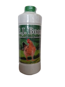 R.J. Boost