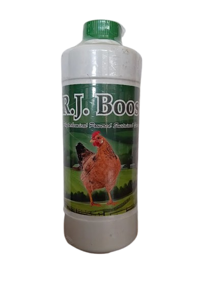 R.J. Boost