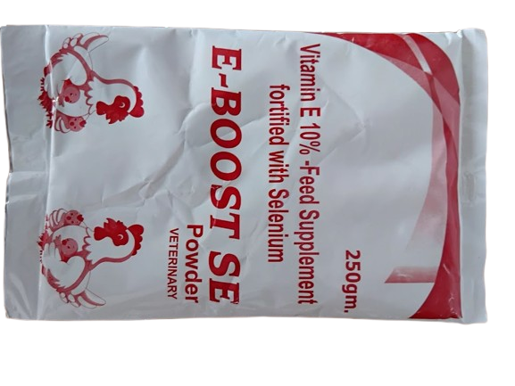 E-Boost SE Powder